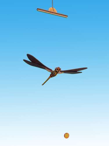 dagonfly