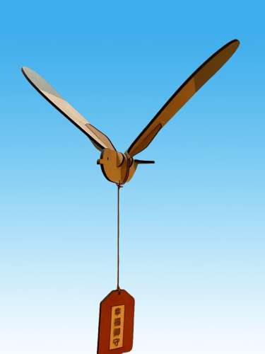 seagull-1.jpg_1